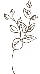 Logo de flores decorativas